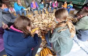 LIČKANJE KORUZE V IVANJEM SELU 09 FOTO LJUBO VUKELIČ